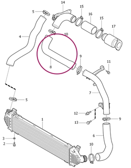 Hadice za plastovým kolenem od turba k intercooleru 1.6D2 P3 (OEM)