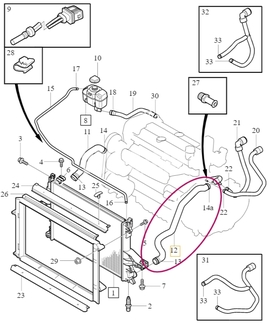 RADIATOR HOSE Volvo 30680918 (OEM)