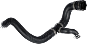 RADIATOR HOSE Lower Volvo 31368209