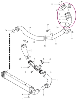 Hadice od turba do trubky k intercooleru 4 válec (2014-) 2.0 D2/D3 P1 P3 SPA (OEM)