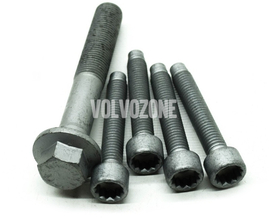 SERVICE KIT Volvo 32213095 // 5x Bolt Crankshaft belt pulley (OEM)